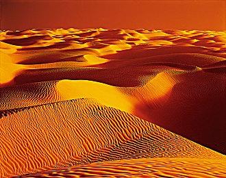 摔跤吃鸡游戏《摔角城大乱斗》将于3月1日停服