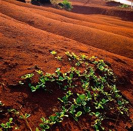 E3 2021：《RAWMEN》最新演示公开 多人竞技射击